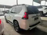 Toyota Land Cruiser Prado, 2020-5