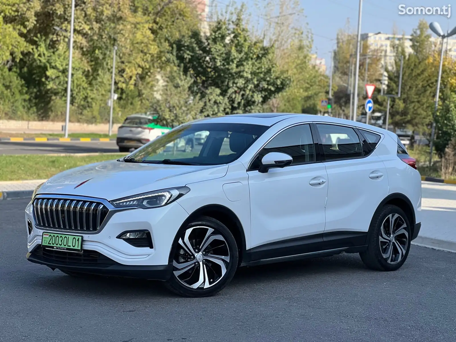 Hongqi E-HS3, 2019-1