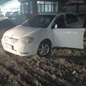 Toyota Corolla, 2004