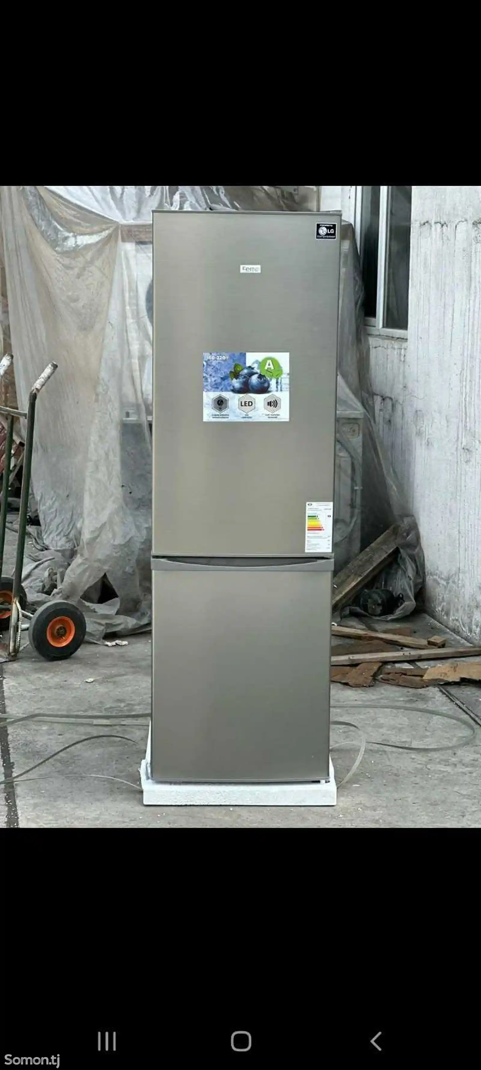 Xолодильник ferre-2
