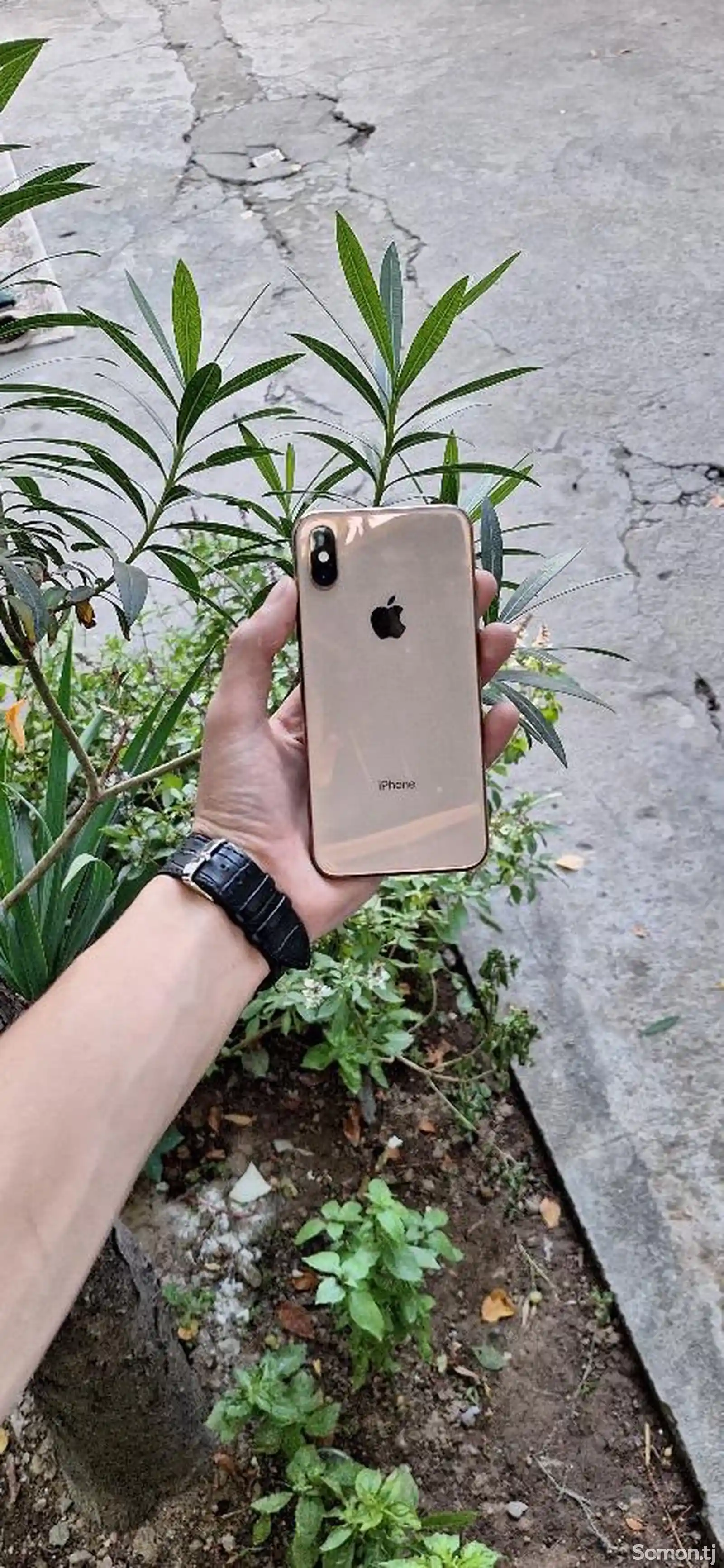 Apple iPhone Xs, 64 gb, Gold-2