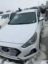 Hyundai Sonata, 2017-9