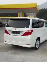 Toyota Alphard, 2014-5