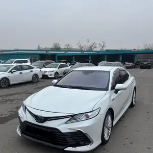 Лобовое стекло фиолетовый для Toyota Camry 6