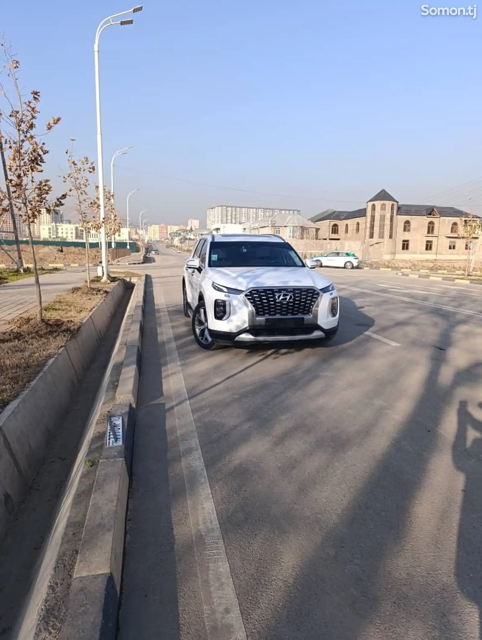 Hyundai Palisade, 2019-1