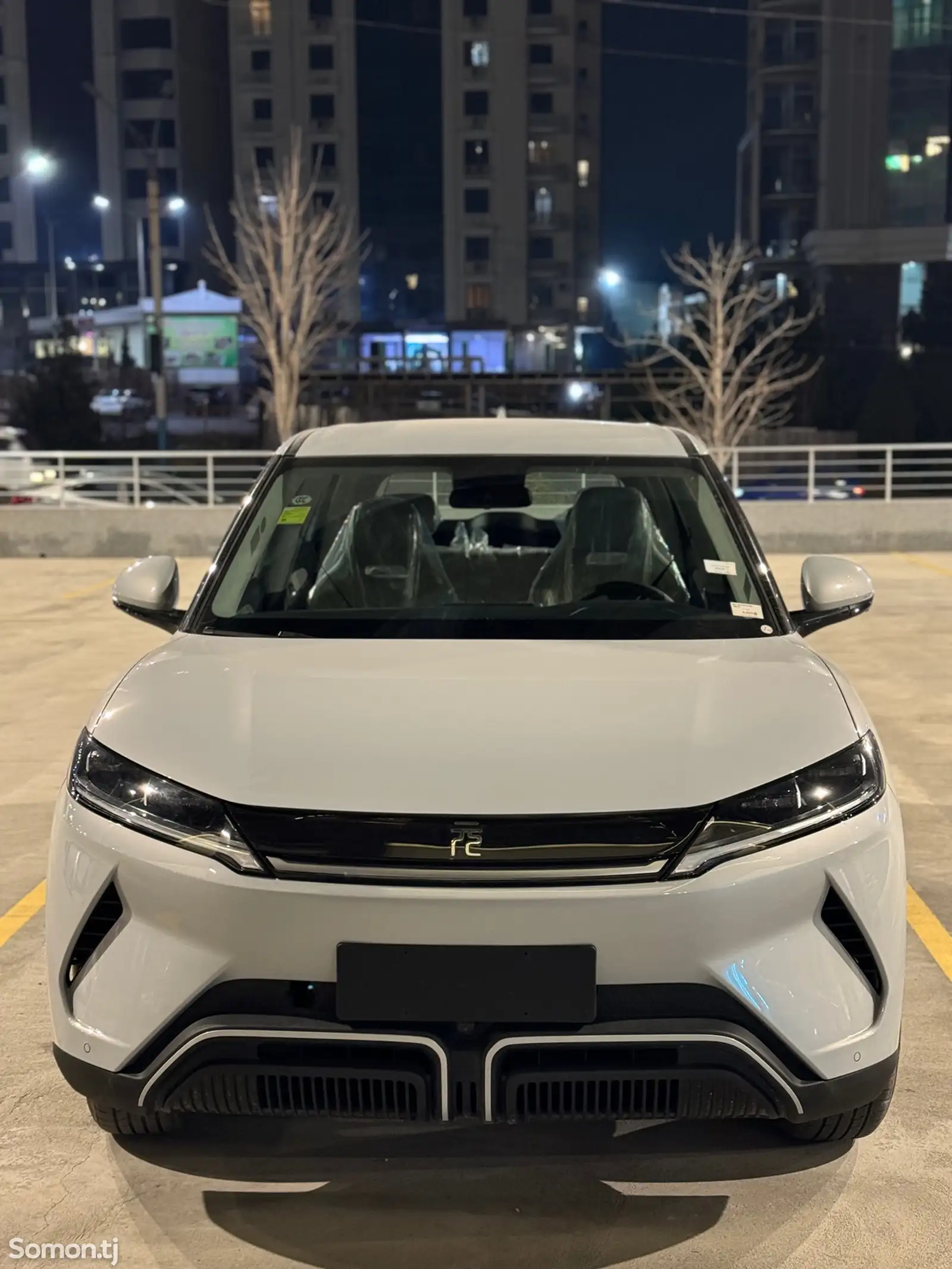 BYD Yuan Up, 2024-1