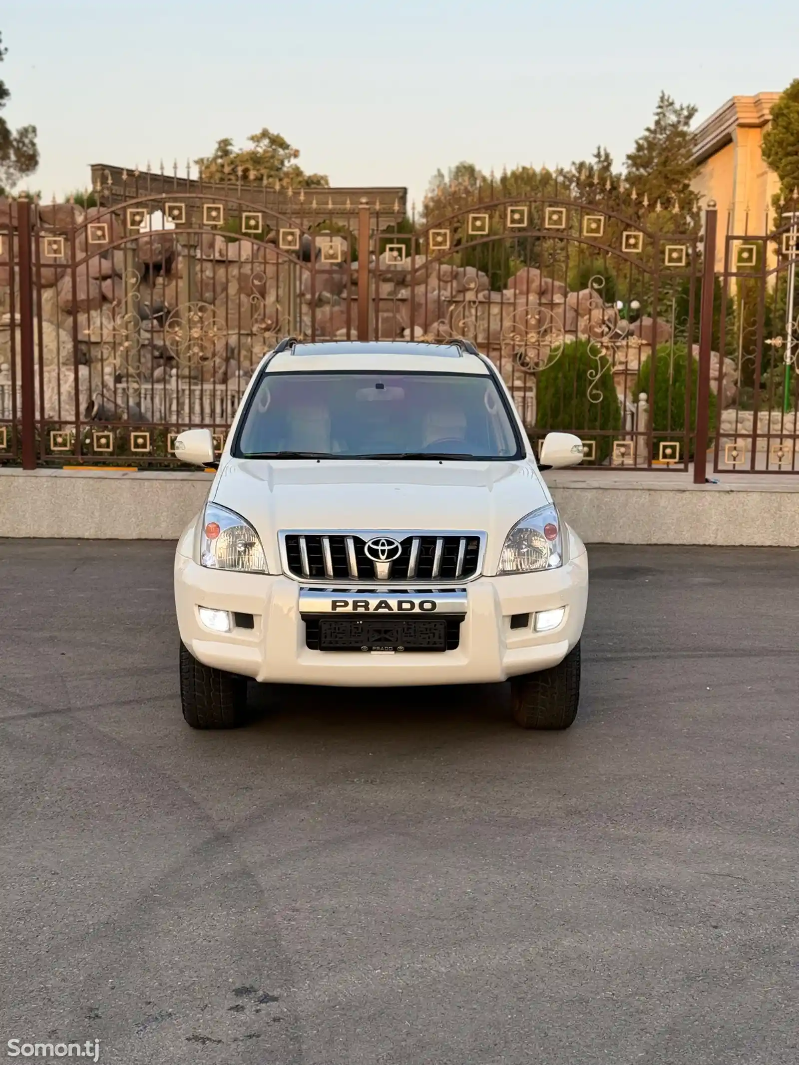 Toyota Land Cruiser Prado, 2009-1