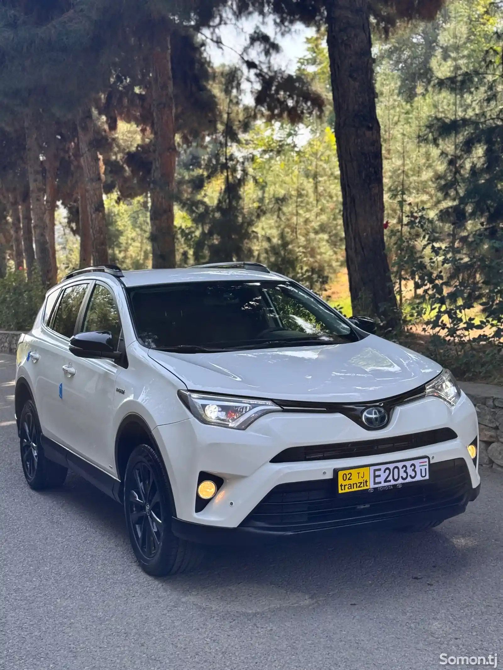 Toyota RAV 4, 2019-2