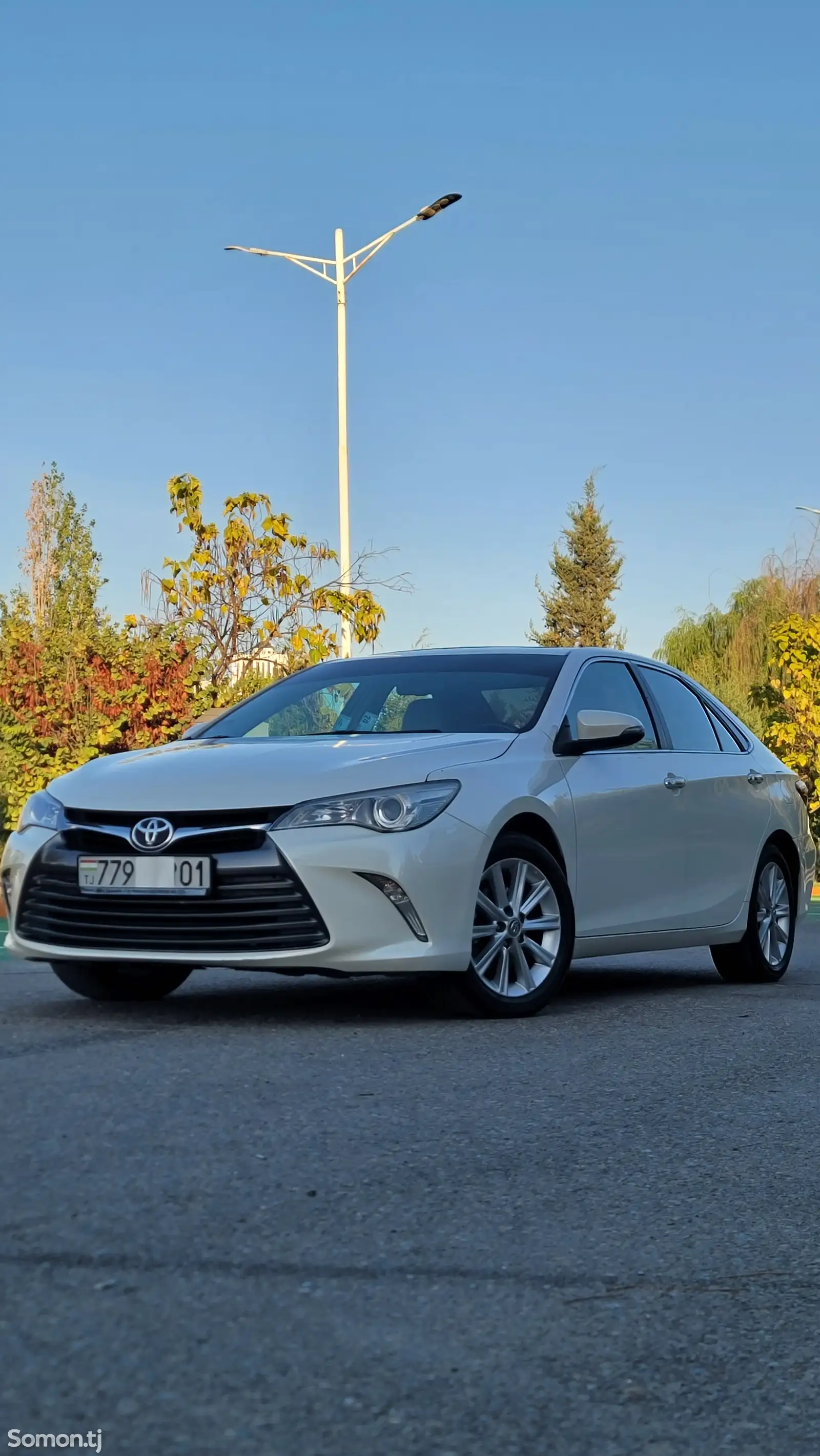 Toyota Camry Gracia, 2017-1