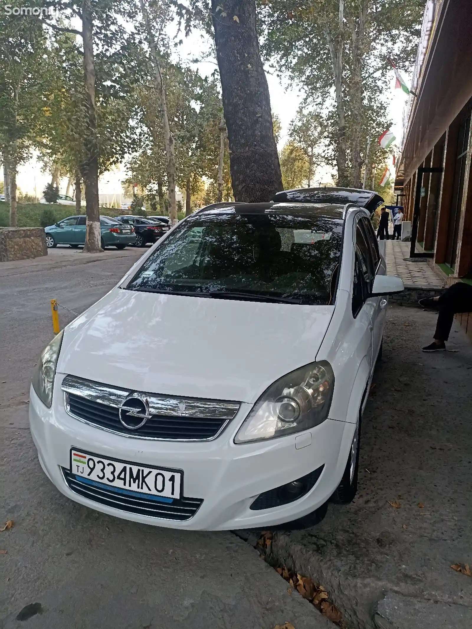 Opel Zafira, 2008-3