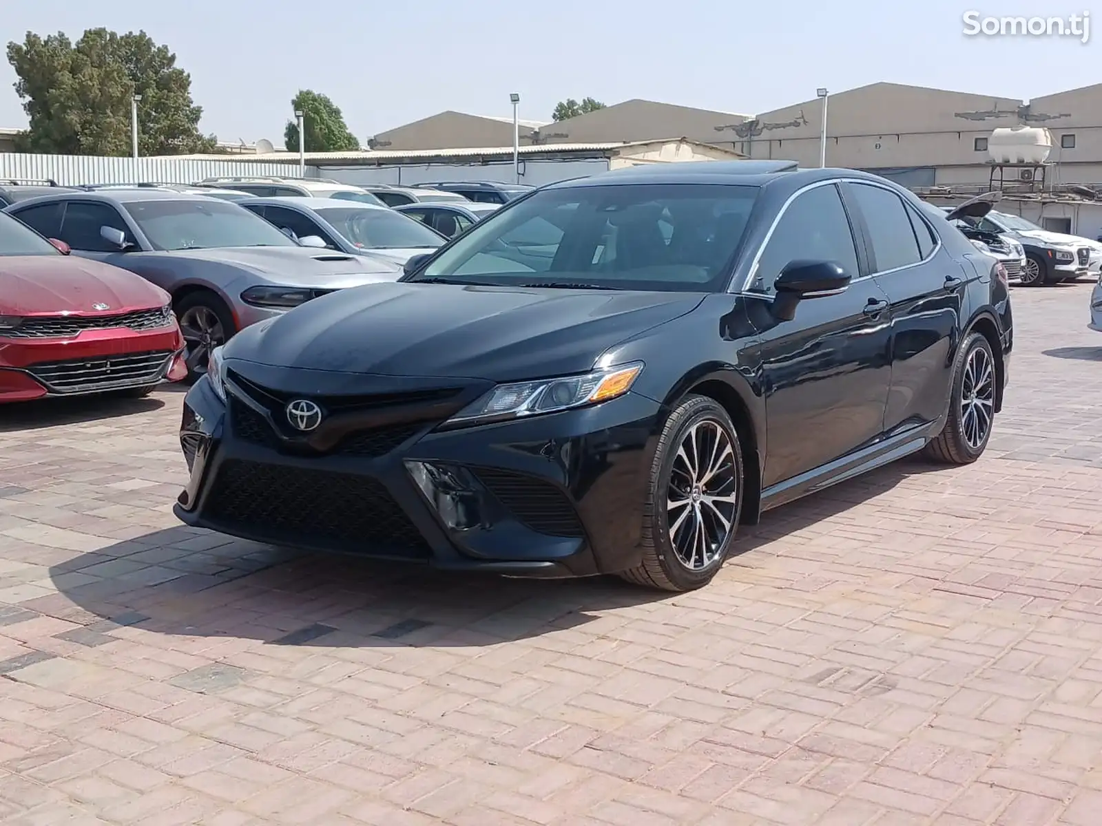 Toyota Camry, 2019-1