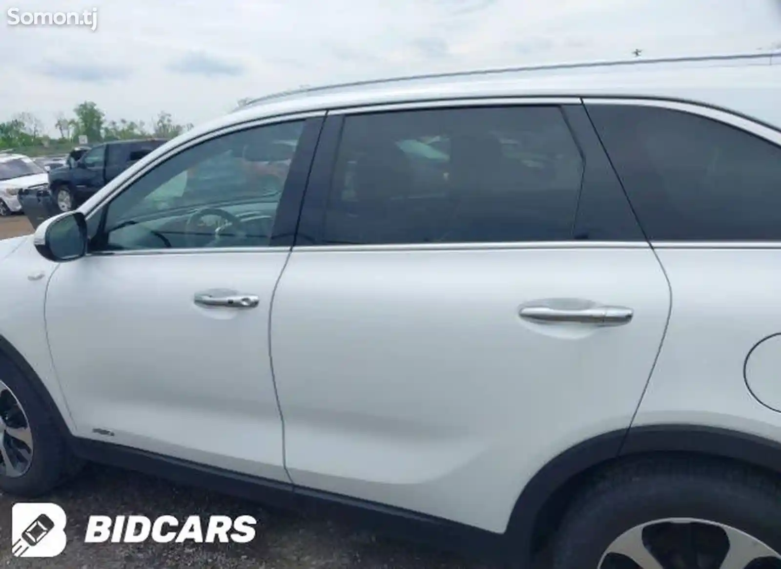 Kia Sorento, 2018-10