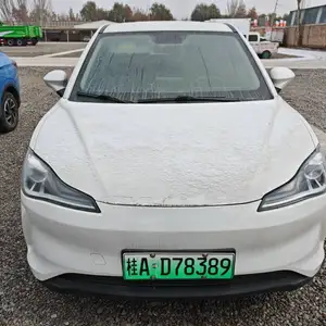 BYD E2, 2021