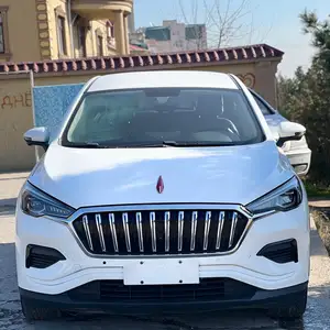 Hongqi E-HS3, 2020