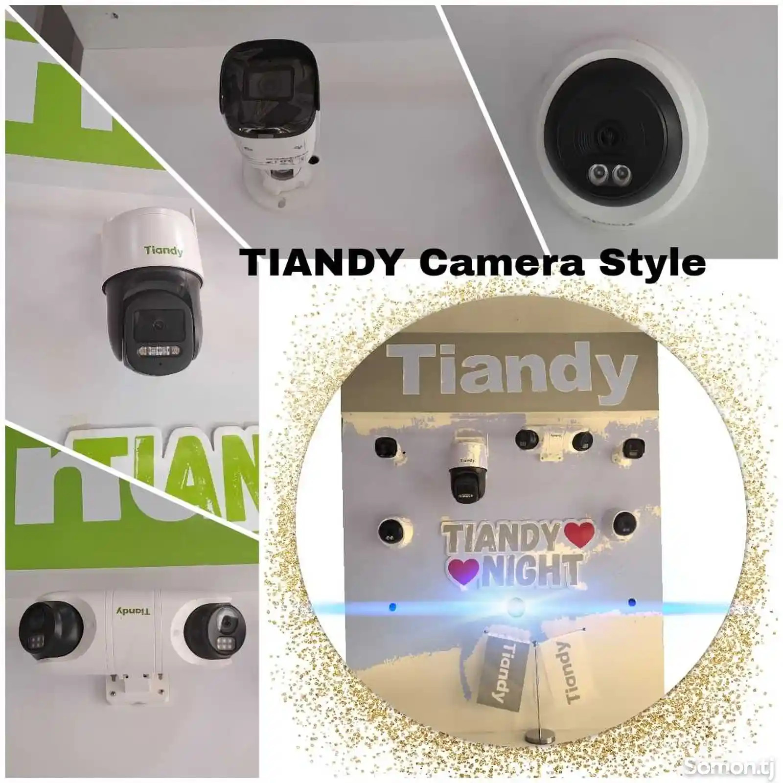 Tiandy Camera Style-1