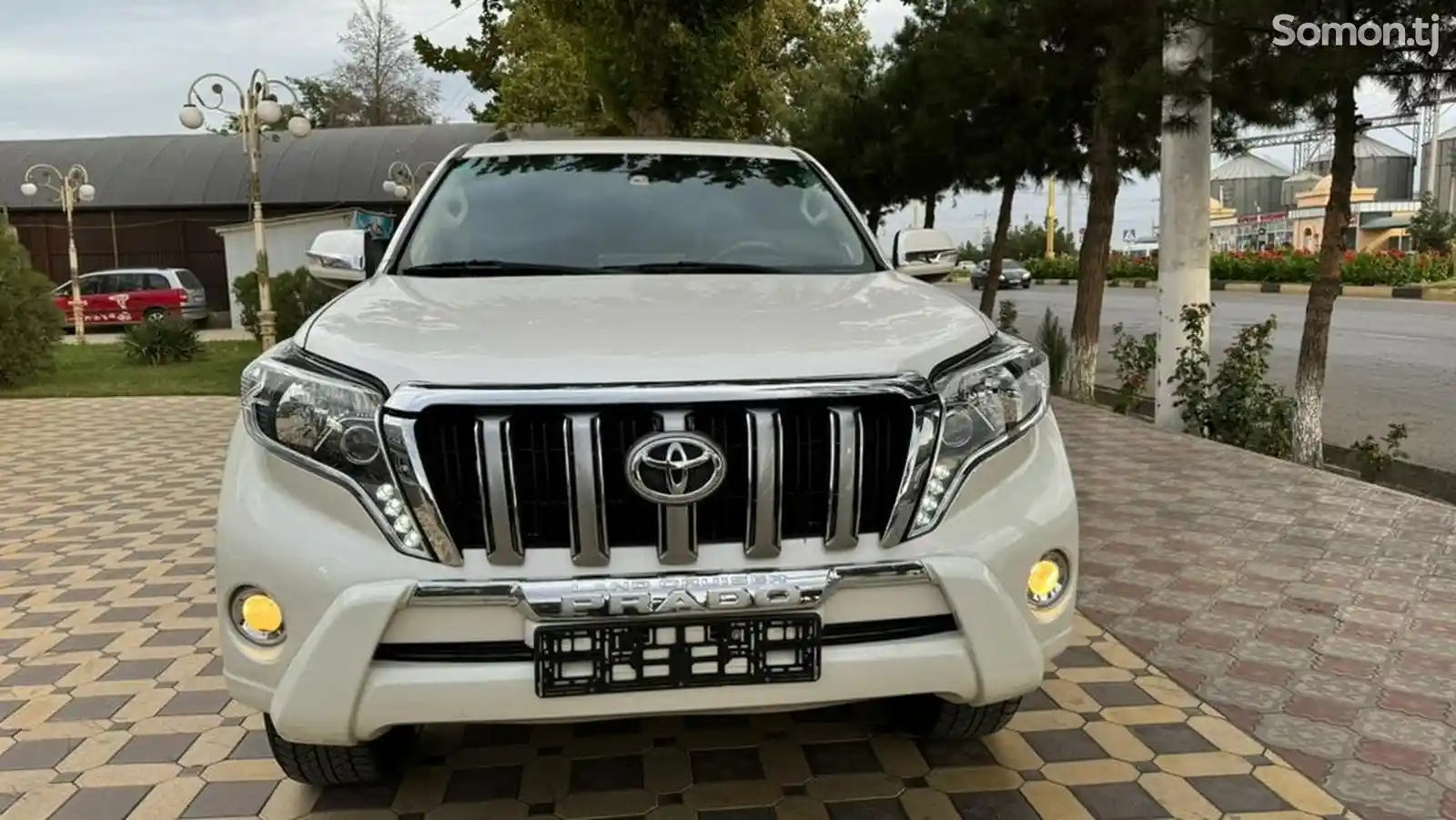 Toyota Land Cruiser Prado, 2010-5