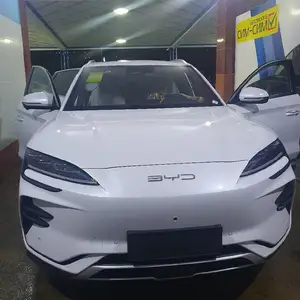 BYD Song Plus Flagship, 2024