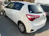 Toyota Vitz, 2019-3