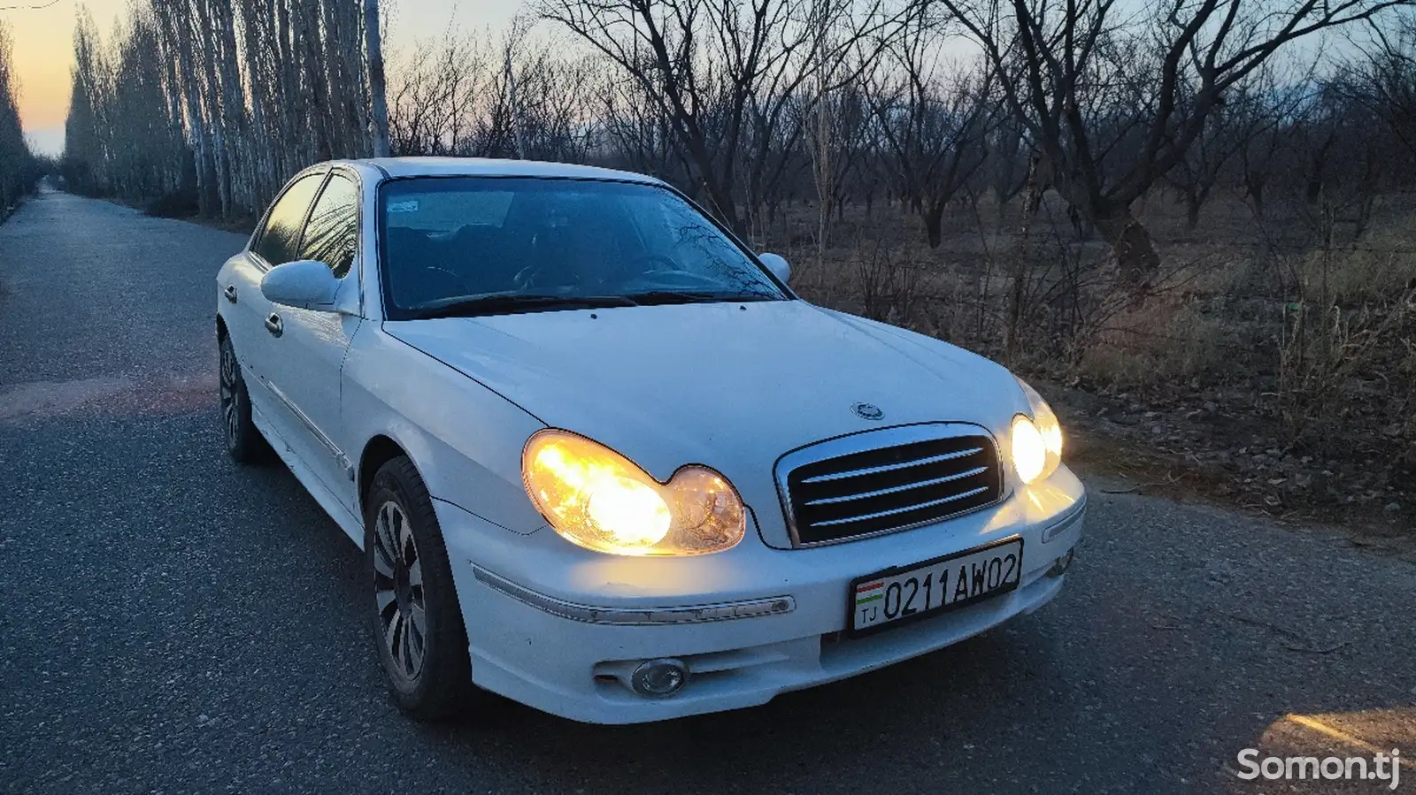 Hyundai Sonata, 2002-1