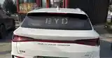 BYD E2, 2024-6