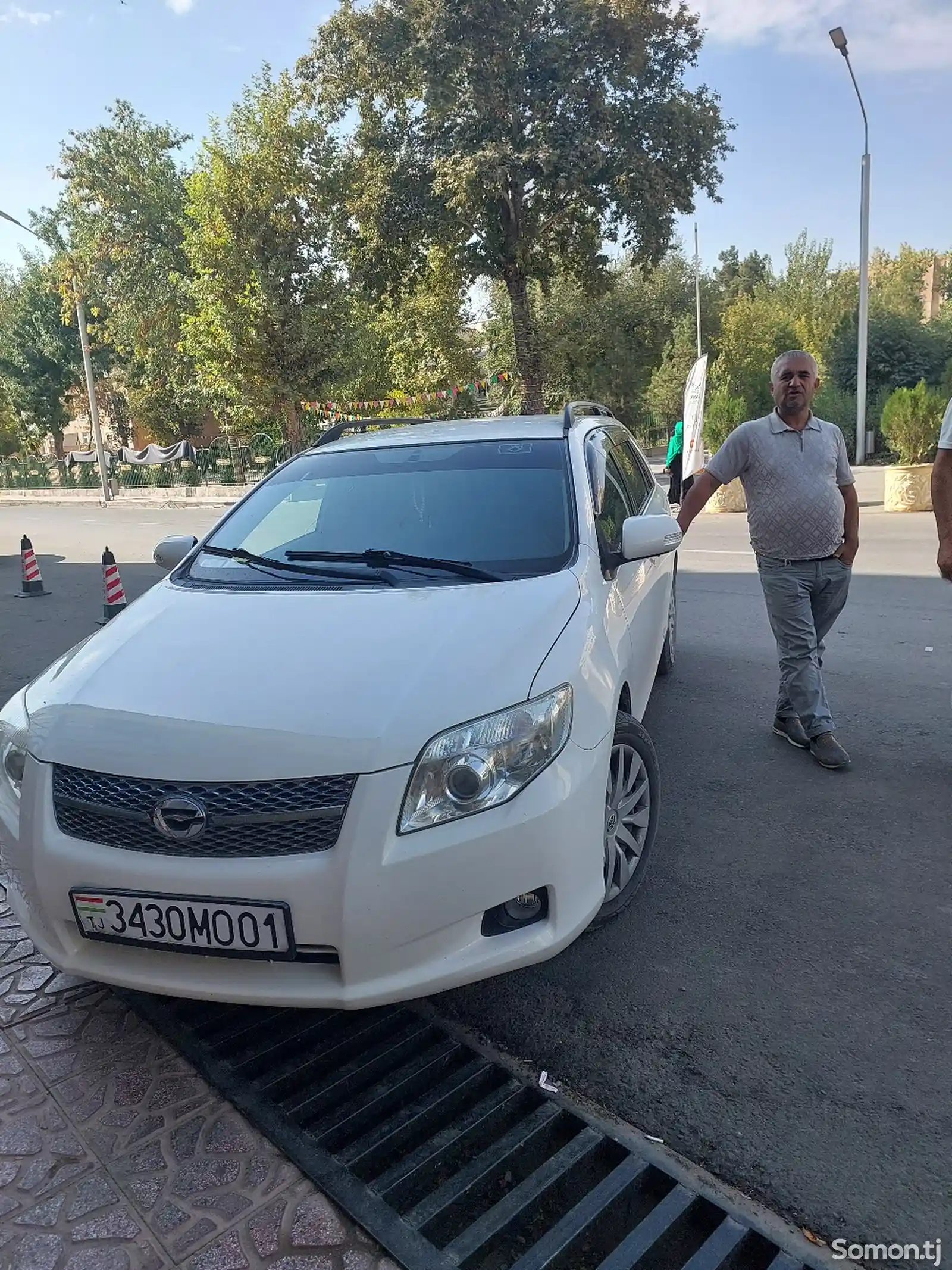 Toyota Fielder, 2008-1