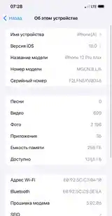 Apple iPhone 12 Pro Max, 256 gb, Pacific Blue-6