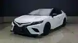 Toyota Camry, 2022-3