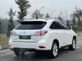 Lexus RX series, 2010-3