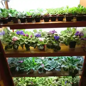 Стеллаж для комнатных растений с искусственным освещением