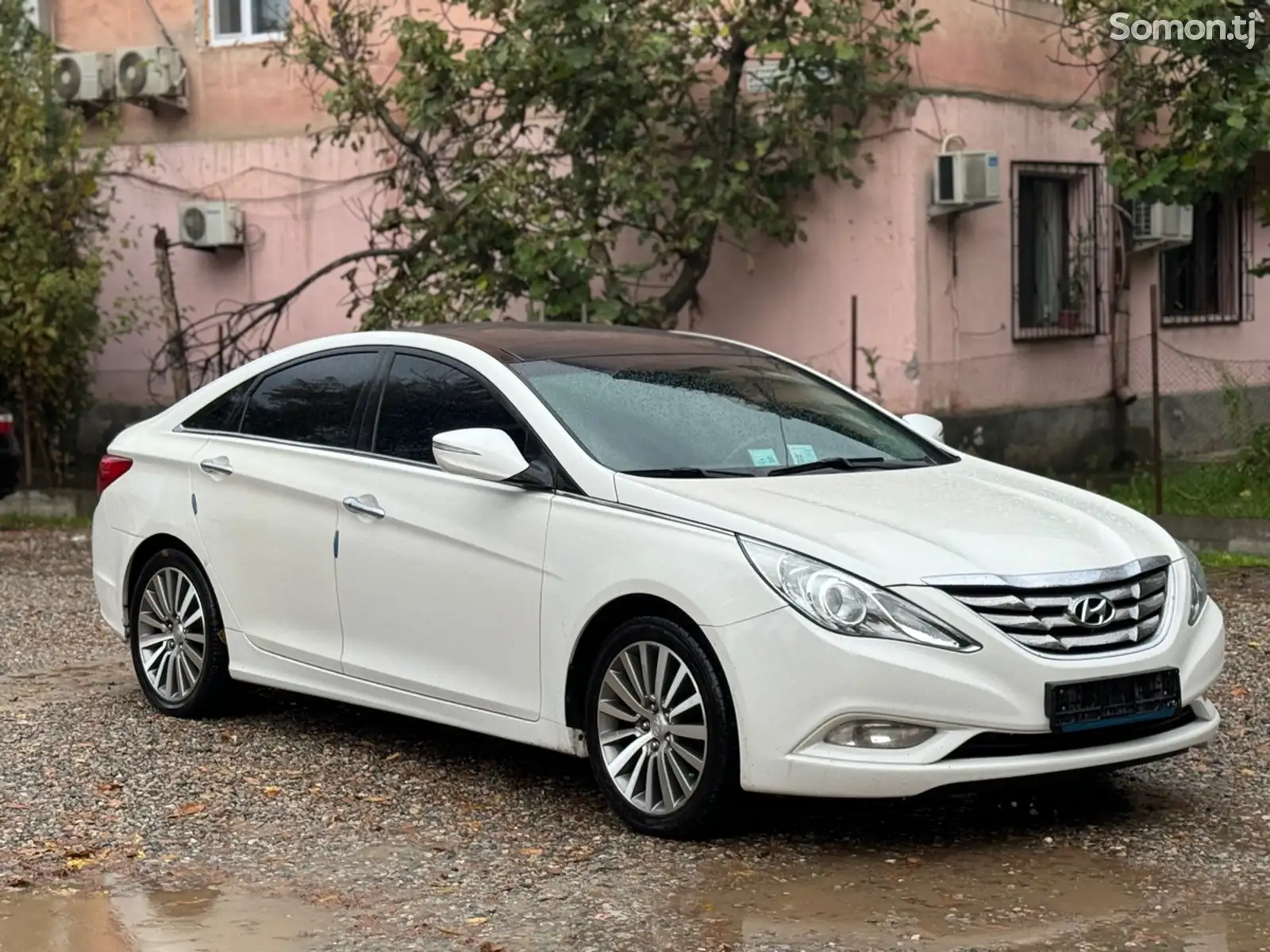 Hyundai Sonata, 2010-1