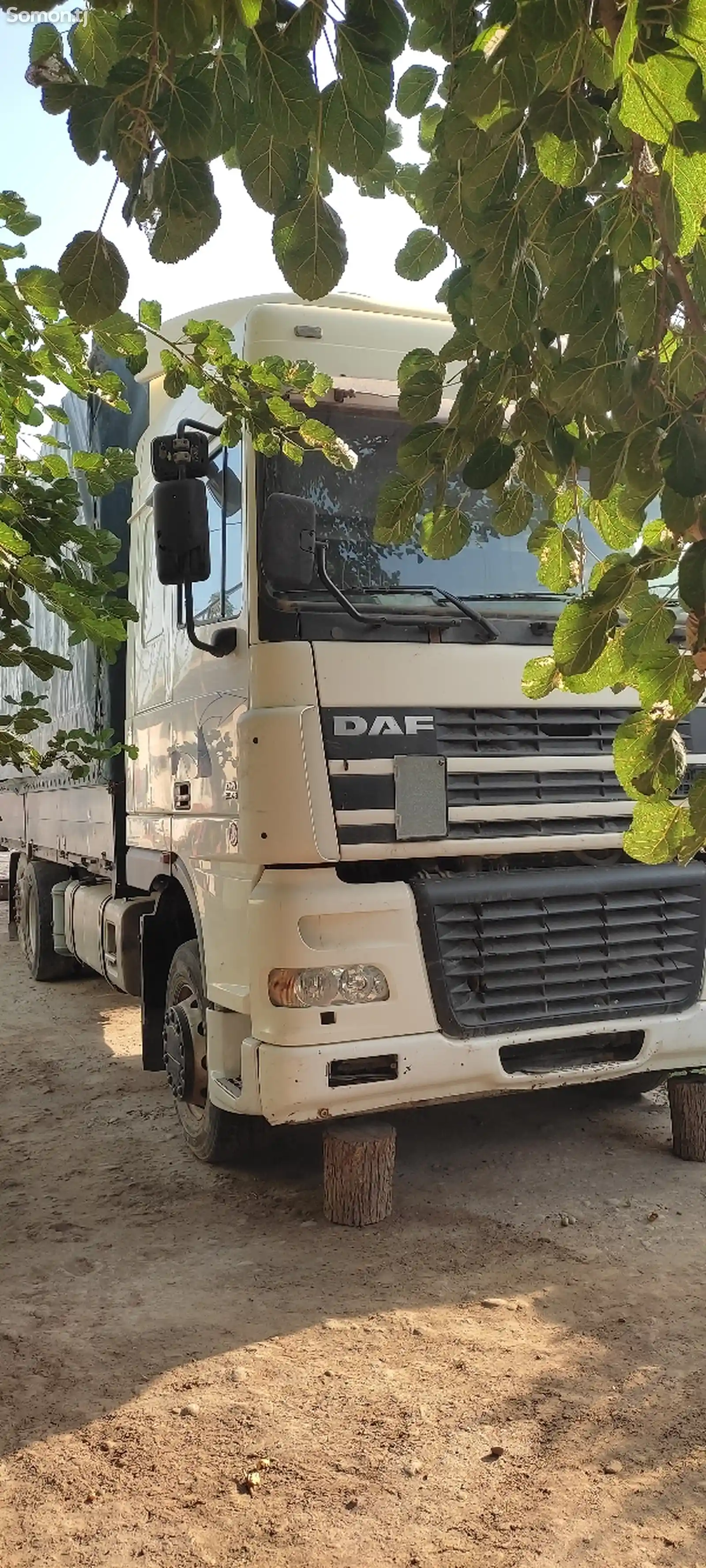 Бортовой грузовик DAF 95XF, 2004-2