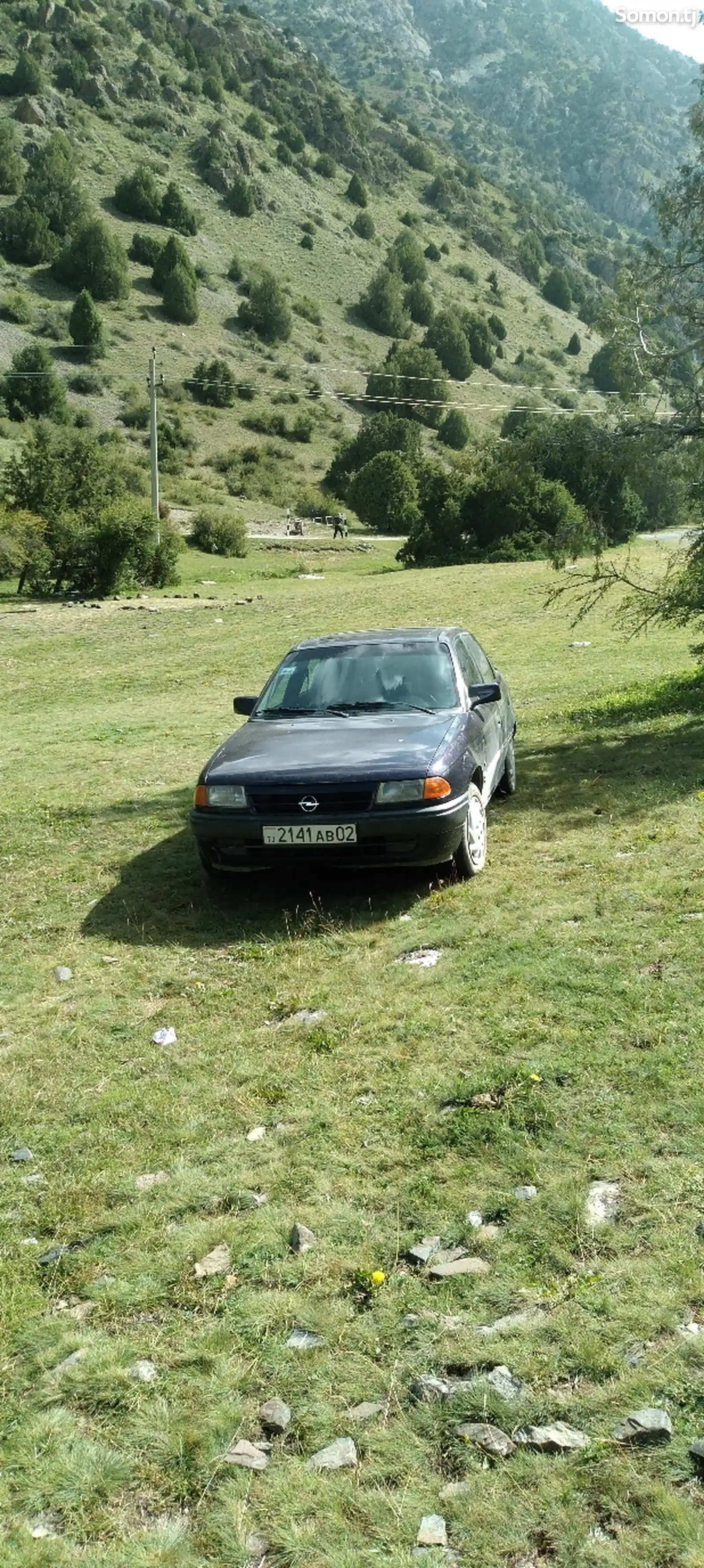 Opel Astra F, 1994-3