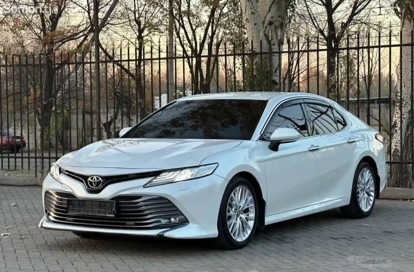 Toyota Camry, 2019-3