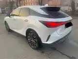 Lexus RX series, 2023-6