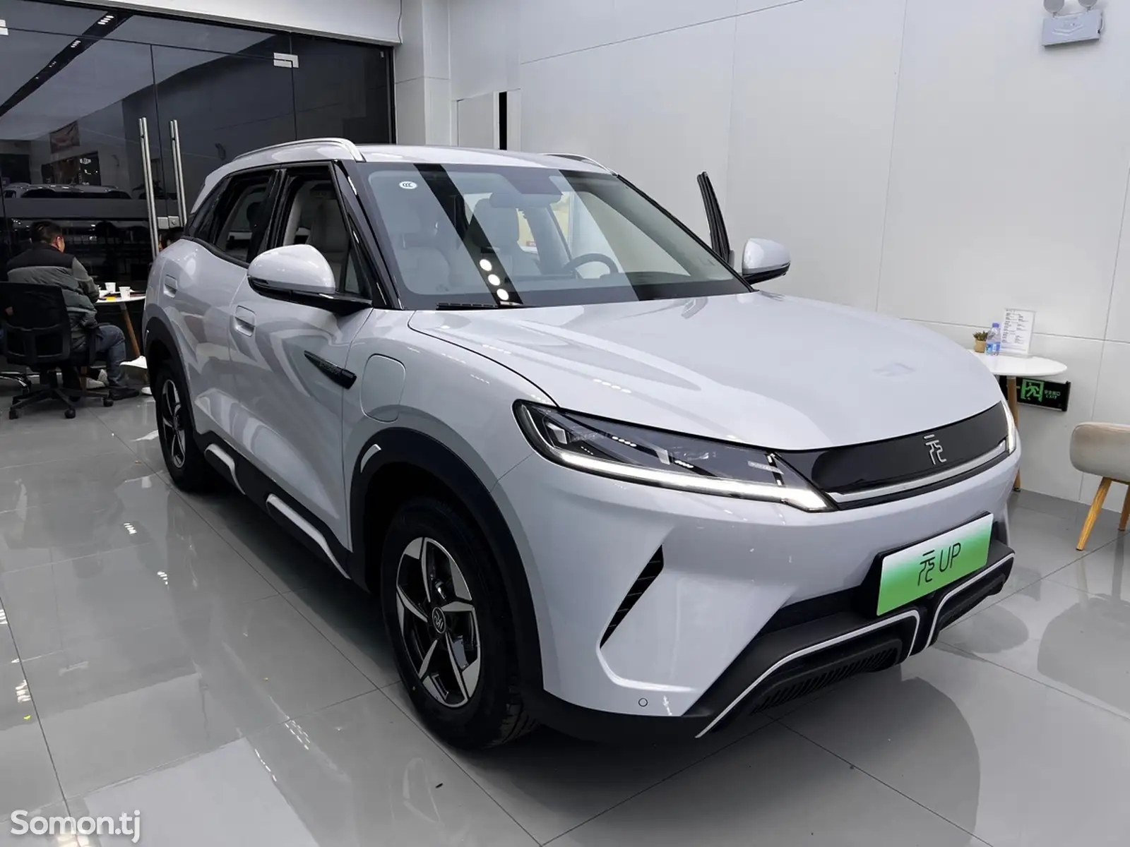 BYD Yuan Up, 2024-1