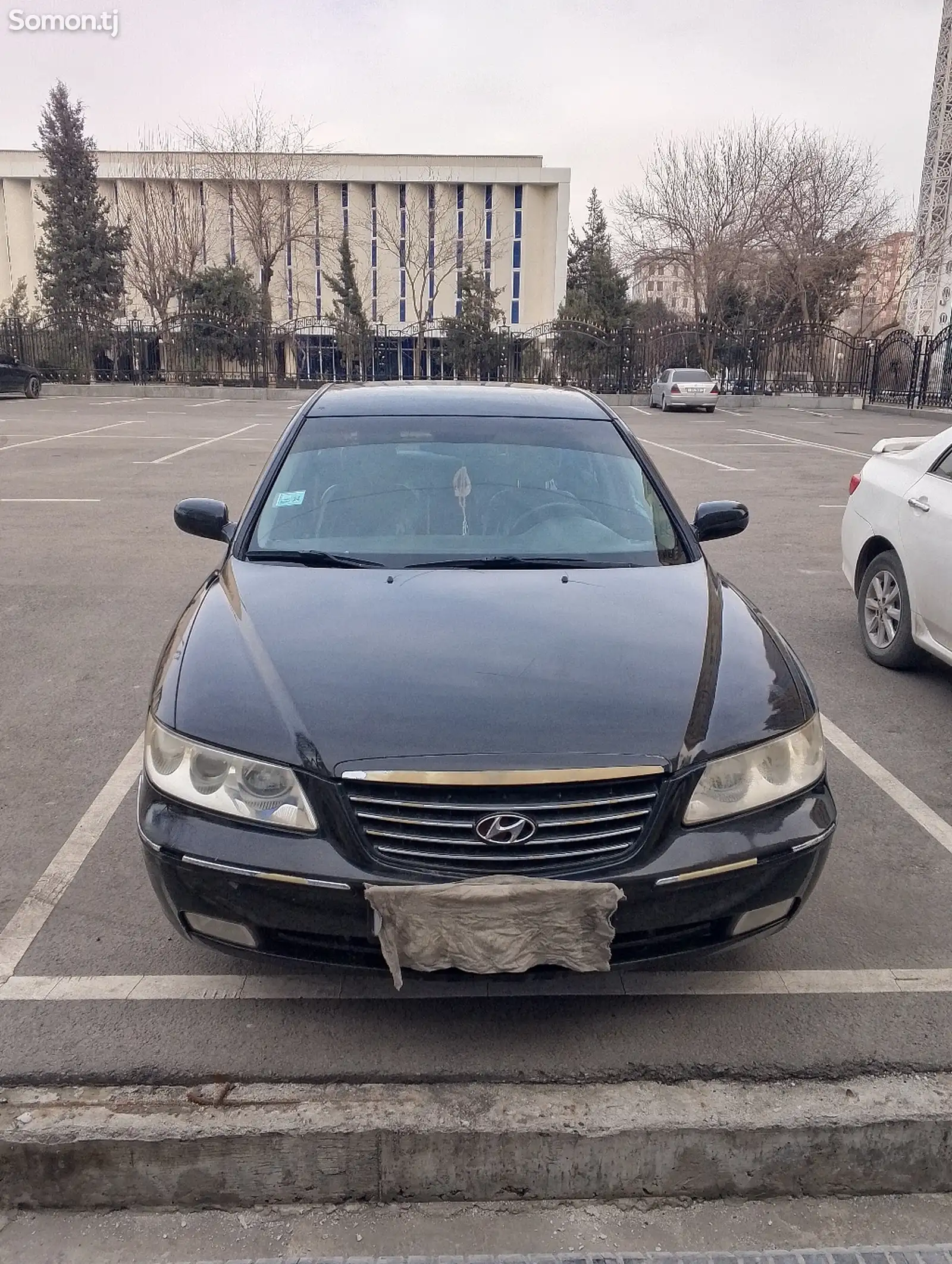 Hyundai Grandeur, 2006-1