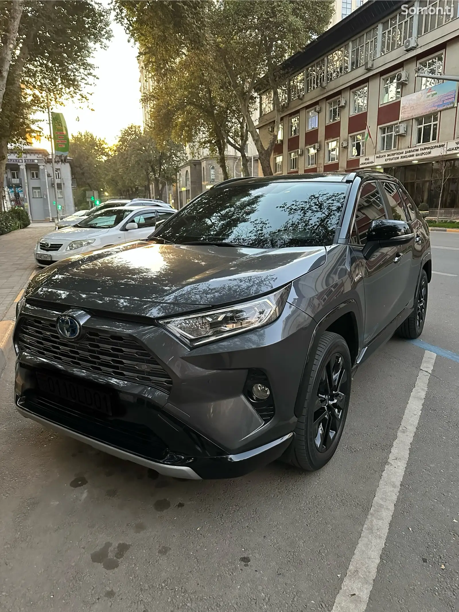 Toyota RAV 4, 2021-1