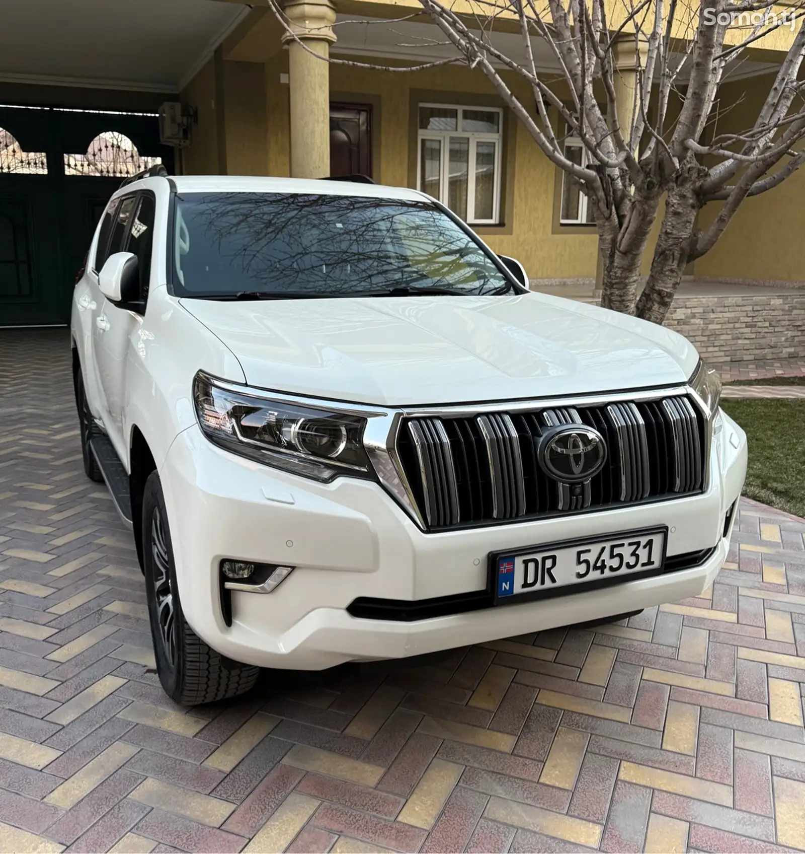 Toyota Land Cruiser Prado, 2020-1