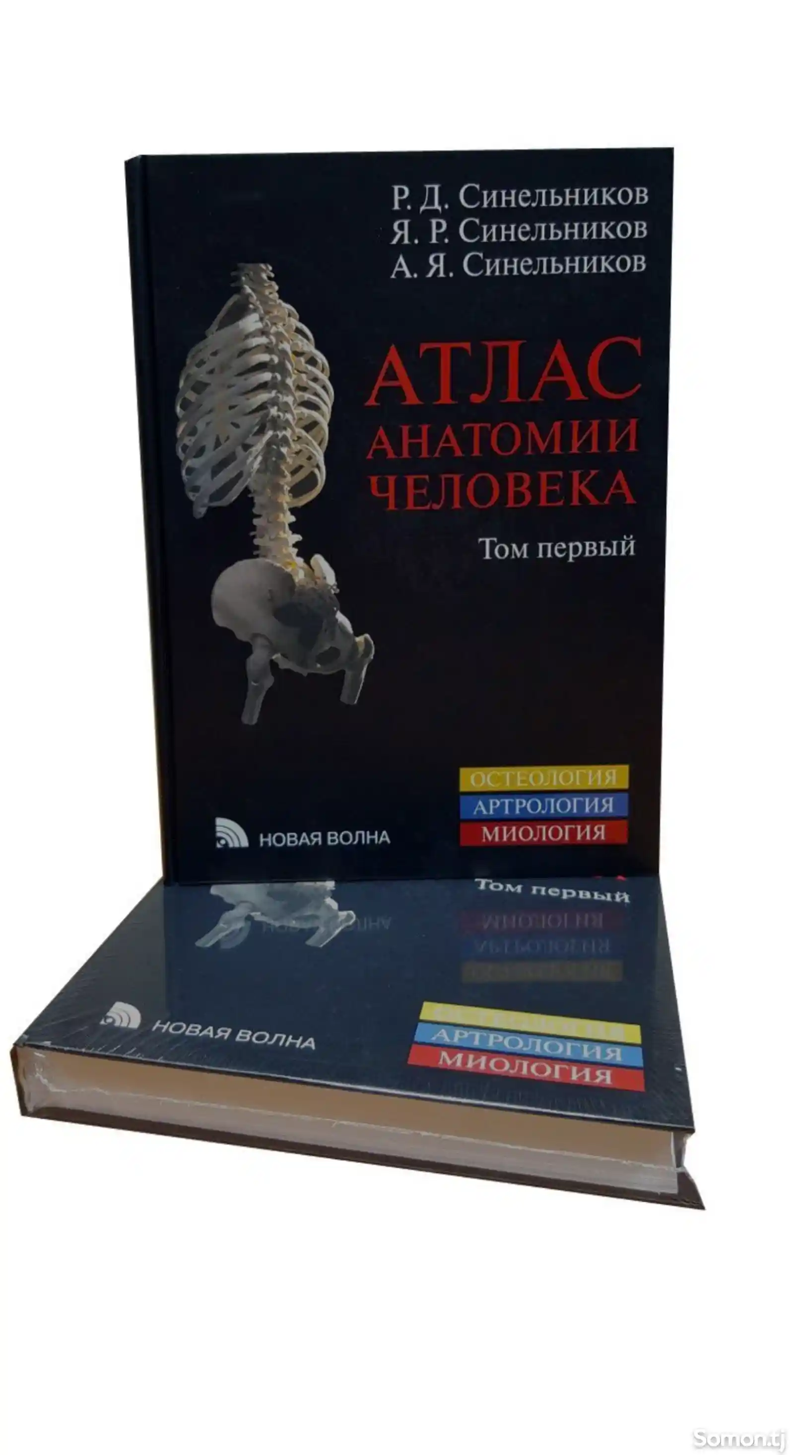 Книга Атлас Анатомии Человека на заказ-5