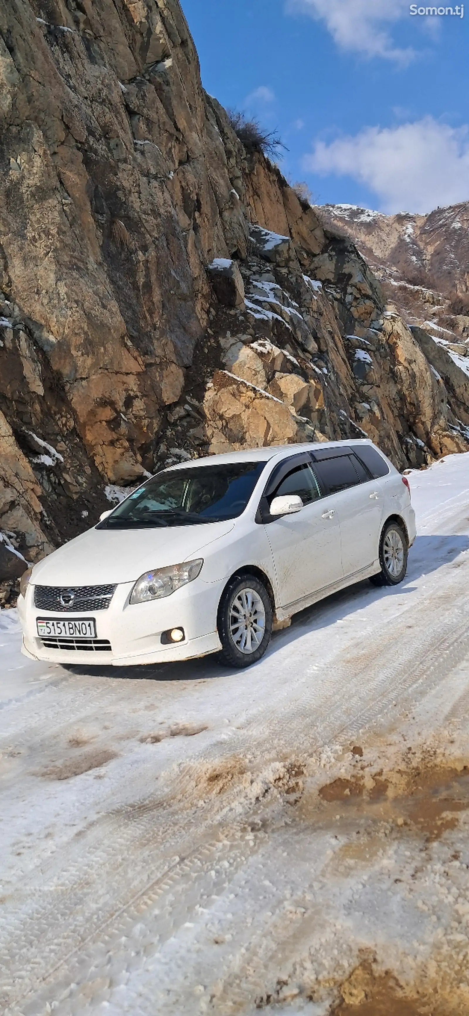 Toyota Fielder, 2007-1