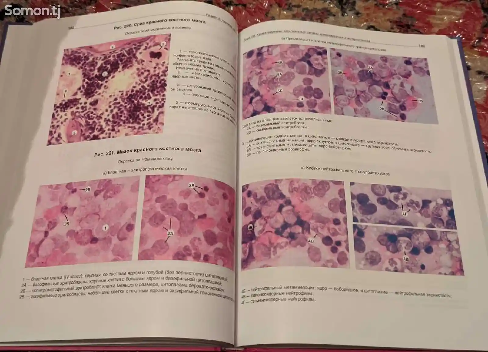 Атлас по Гистологии, Цитологии и Эмбриологии-5