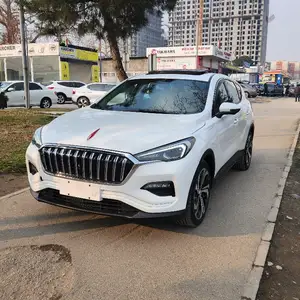 Hongqi E-HS3, 2019