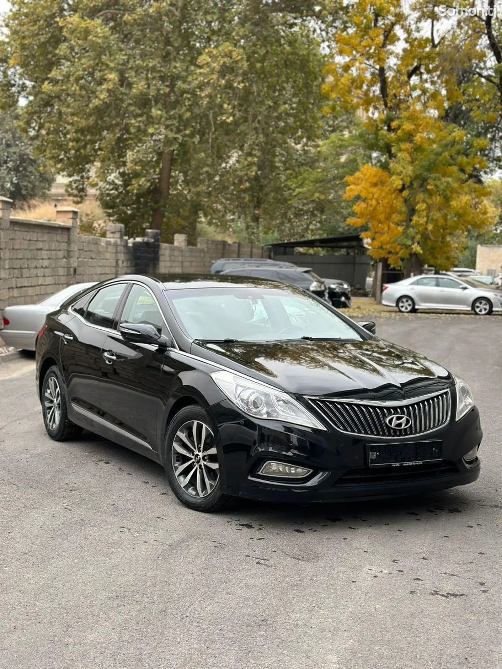 Hyundai Grandeur, 2011-1