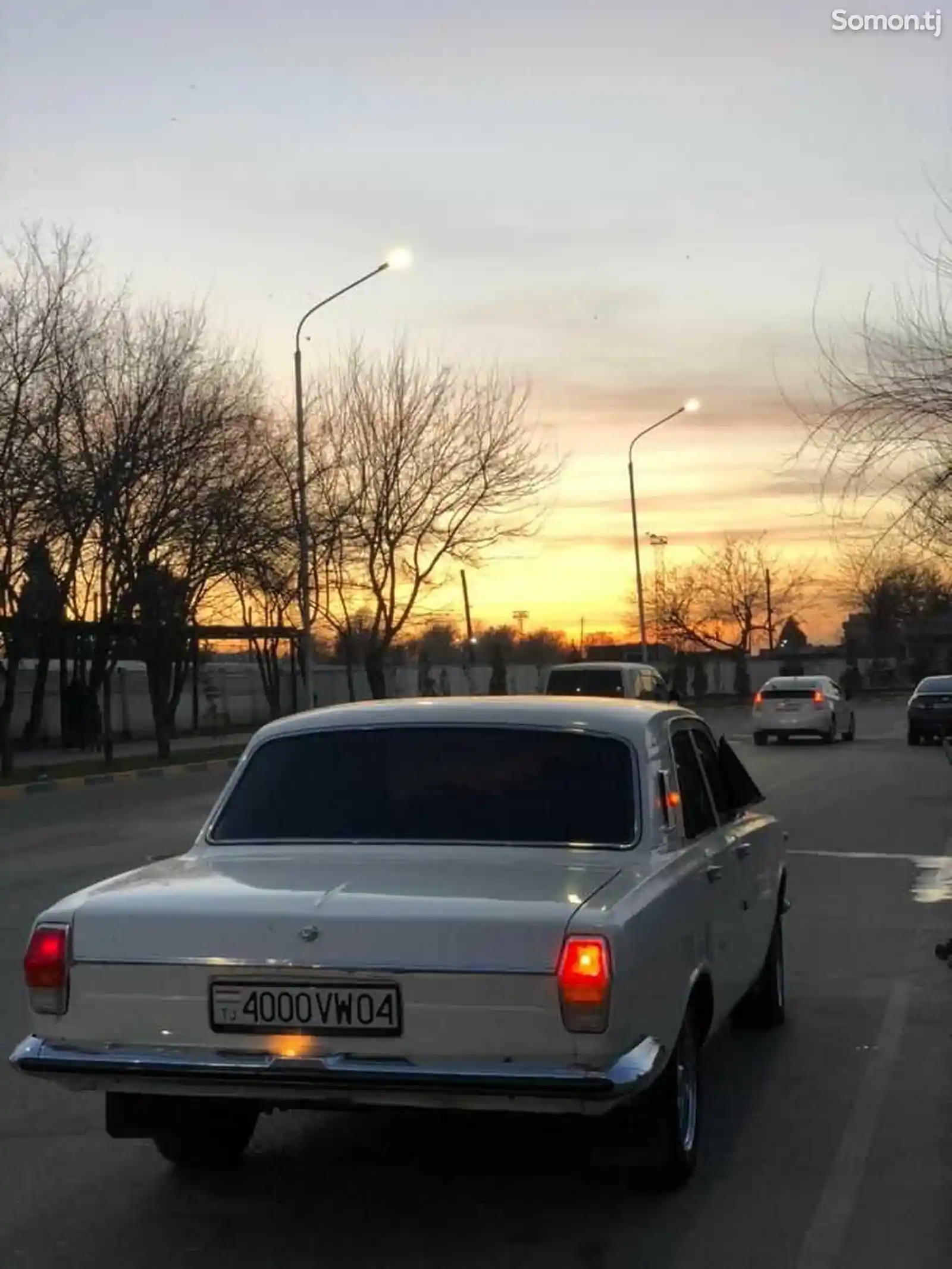 ГАЗ 2401, 1983-6