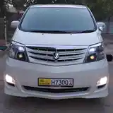 Toyota Alphard, 2007-3