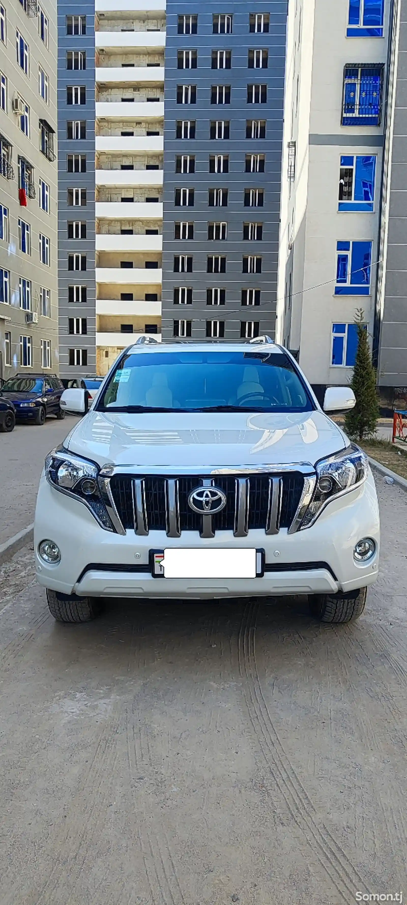 Toyota Land Cruiser Prado, 2010-1