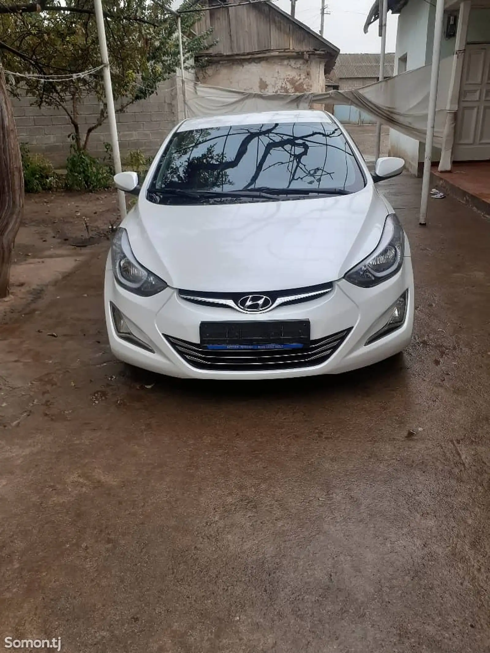 Hyundai Elantra, 2015-11