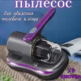 Пылесос ручной-3