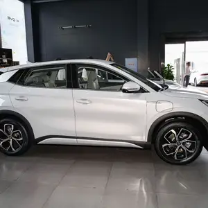 BYD Другие модели, 2024