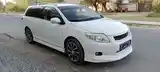 Toyota Fielder, 2007-3